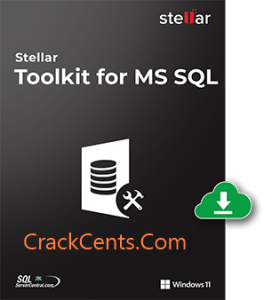 Stellar Data Recovery Crack