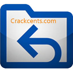 EasyRecovery Professional Crack